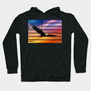 American flag and eagle Hoodie